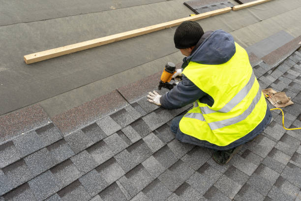Best Solar Panel Roofing Installation  in Homeland Park, SC